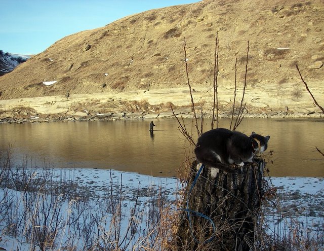 winter Nymphing
